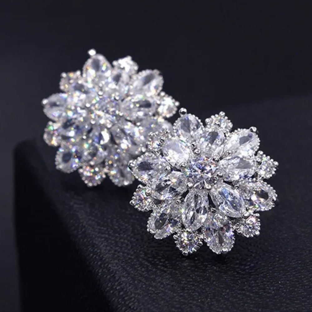Wedding Season Earrings